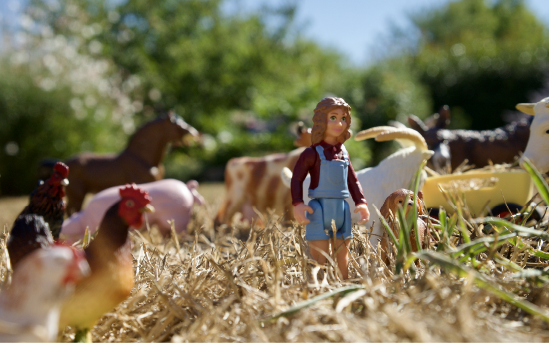 Did Ms. Macdonald have a farm?